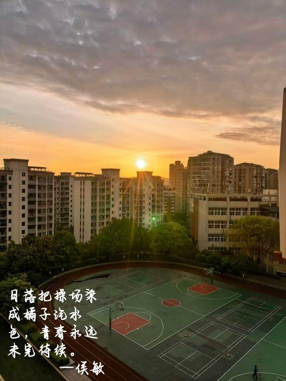图片16.png